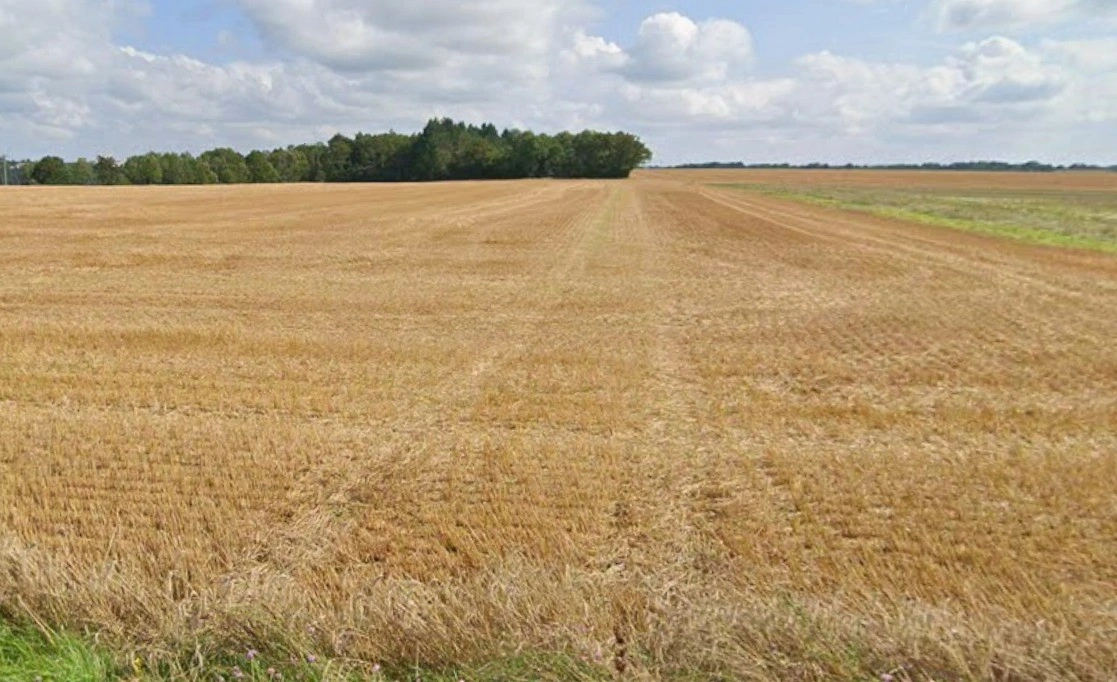 Indore, Madhya Pradesh, India