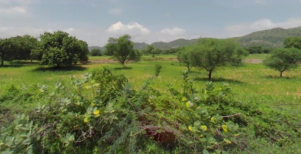 Hokaran, Rajasthan, India