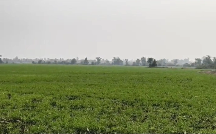 GX53+3G Tharr, Vidisha, Madhya Pradesh, India