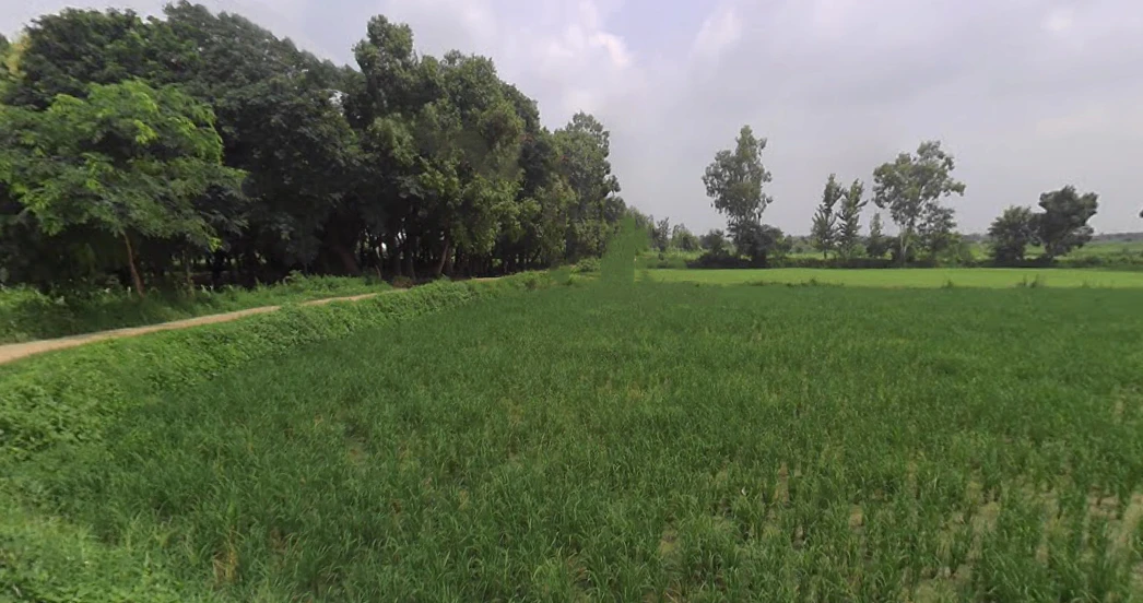 Khurja, Uttar Pradesh 203131, India