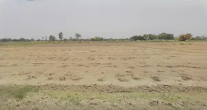 Bikaner, Rajasthan, India preview 3