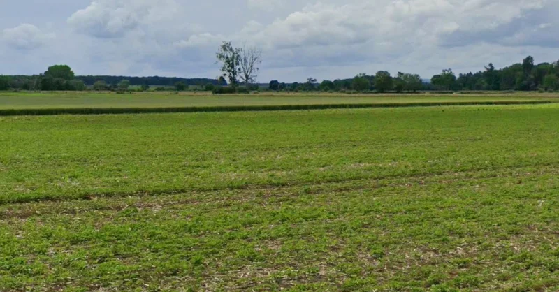 Sultanpur, Madhya Pradesh 464986, India preview 2