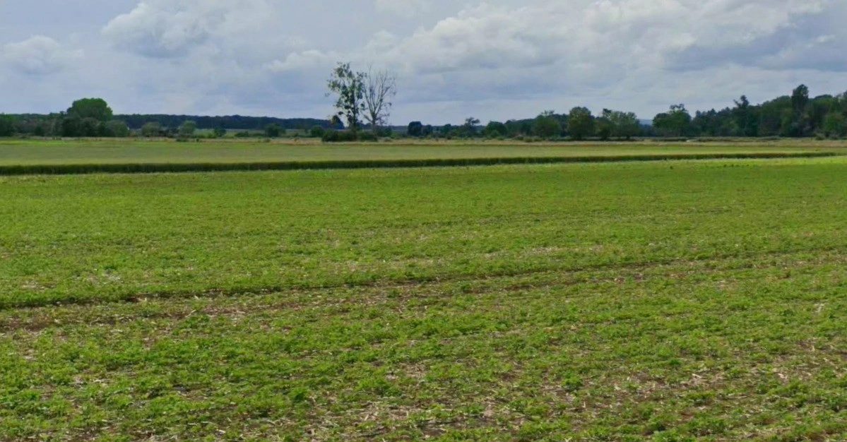 Sultanpur, Madhya Pradesh 464986, India