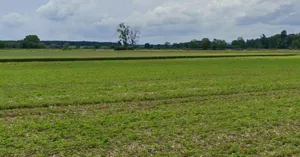 Sultanpur, Madhya Pradesh 464986, India preview 2