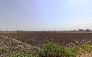 Khurchanya Pratap, Madhya Pradesh, India preview 2