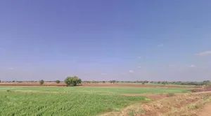 Bajrangpura, Rajasthan 303119, India preview 3