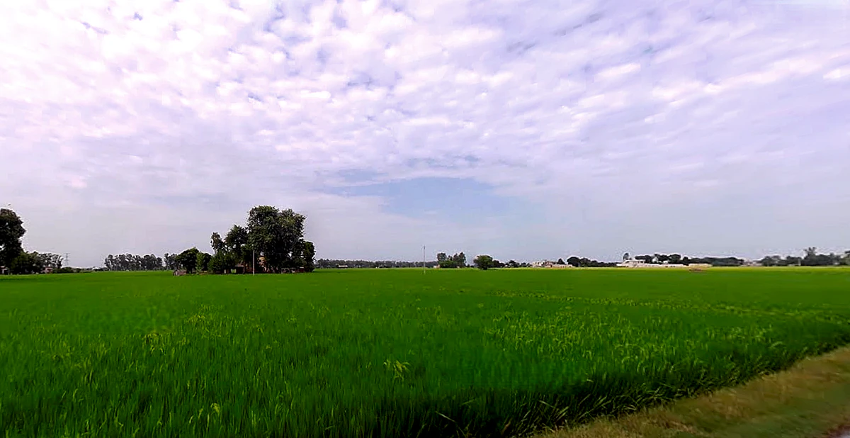 Amargarh, Punjab 148022, India