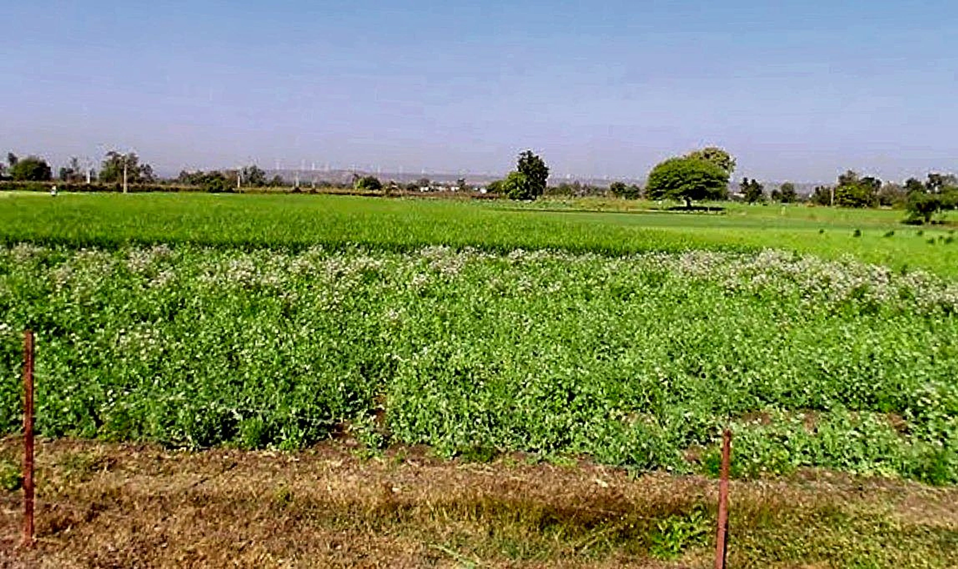 Lohar Pipalya, Madhya Pradesh 455001, India