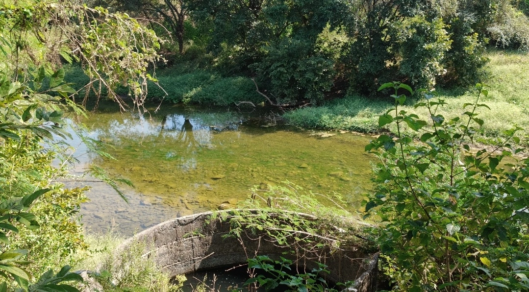 424201, Lohara - Jalgaon Rd, lohara, Maharashtra 424201, India