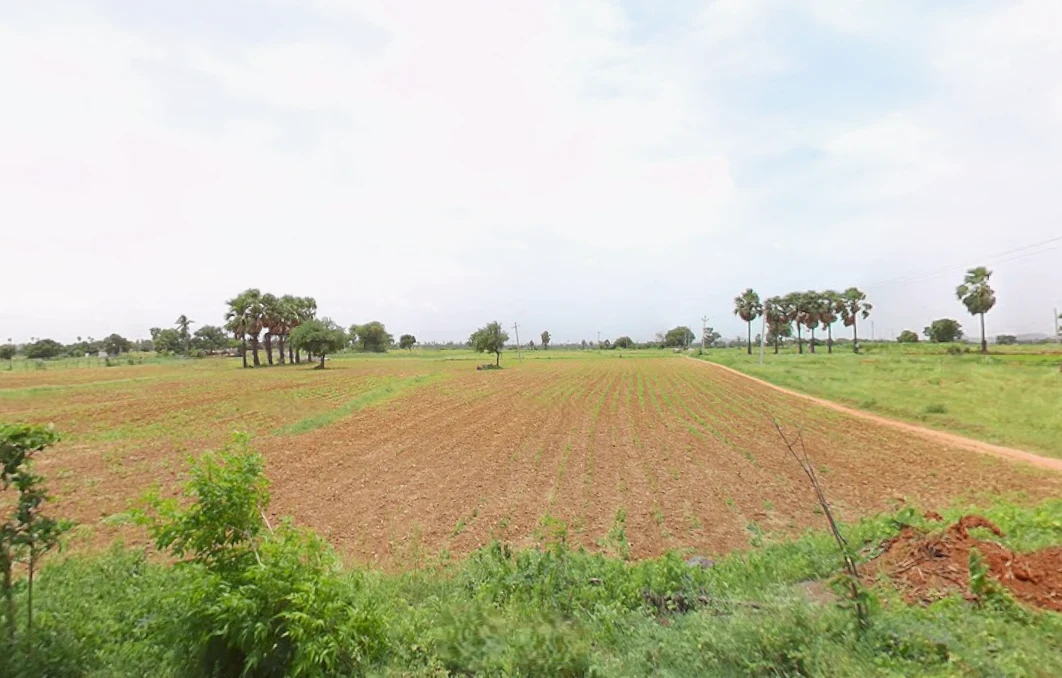 Madgul, Telangana, India
