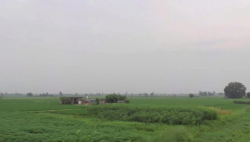 Puranpur, Uttar Pradesh 262122, India