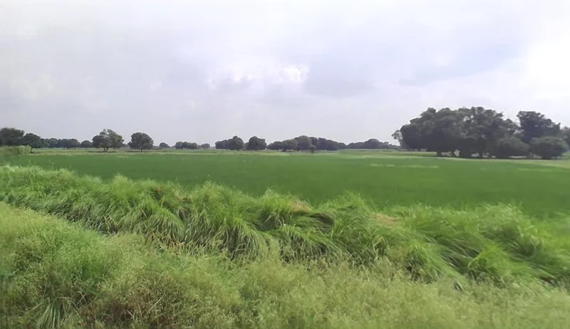 Karwi, Uttar Pradesh 210205, India preview 3