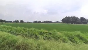 Karwi, Uttar Pradesh 210205, India preview 3