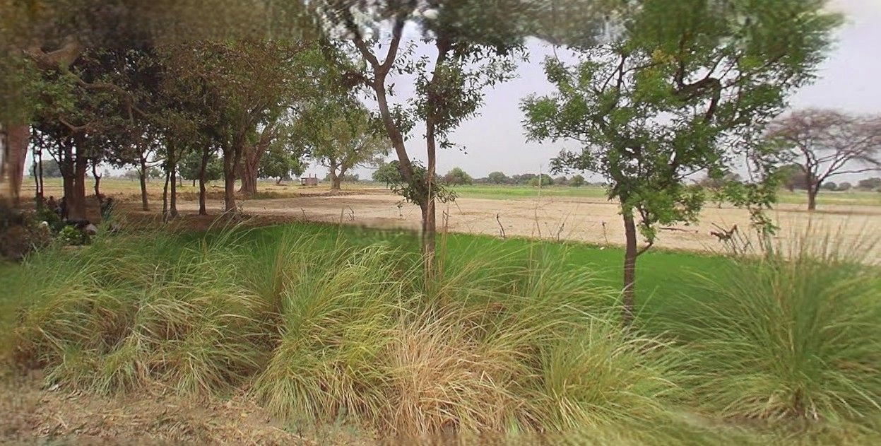 Agar, Madhya Pradesh 465441, India