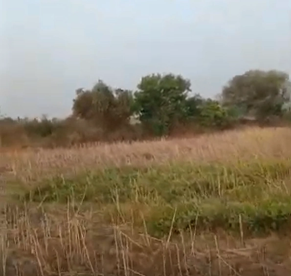 Bhadur, Chhattisgarh 491229, India