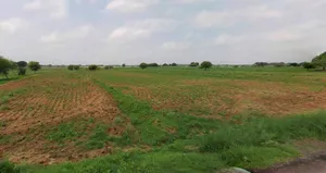 Haridwar, Uttarakhand, India preview 2