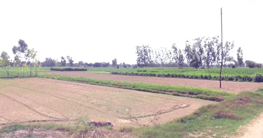 Kalariya, Madhya Pradesh 465447, India