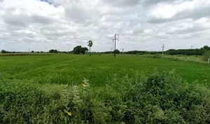 Haripuram, Andhra Pradesh 532243, India preview 2