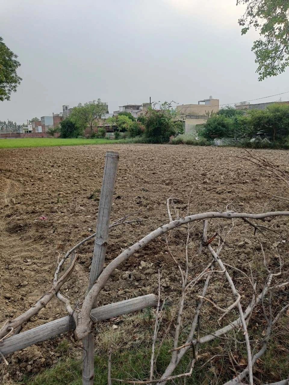 Chandauri, Uttar Pradesh, India