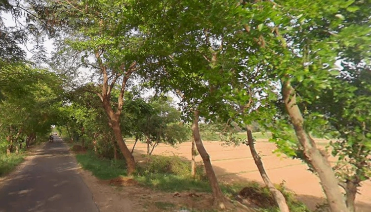 Alamnagar, Uttar Pradesh 245208, India