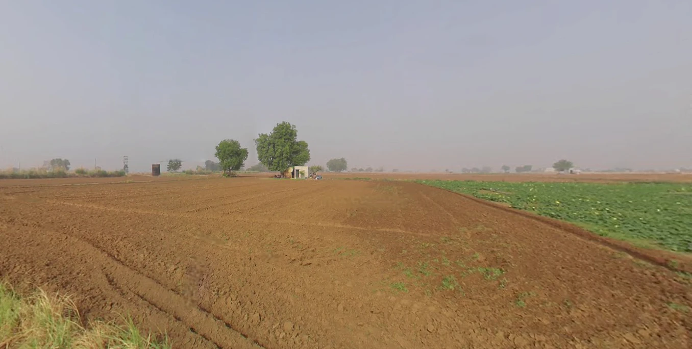 Shadipur, Julana, Haryana 126101, India