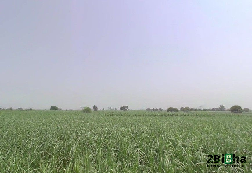 Pithlokar, Uttar Pradesh 250342, India