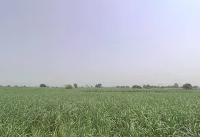 Pithlokar, Uttar Pradesh 250342, India preview 2