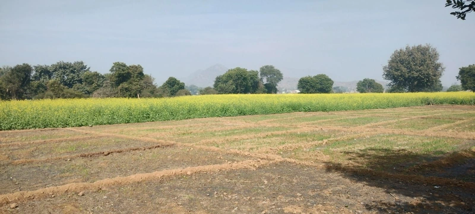 Tijara, Rajasthan 301411, India