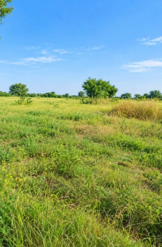 6JG3+RC Ojtu, Jhunjhunu, Rajasthan, India