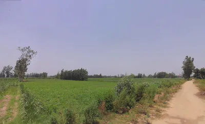 Bilsanda, Uttar Pradesh 262202, India preview 3