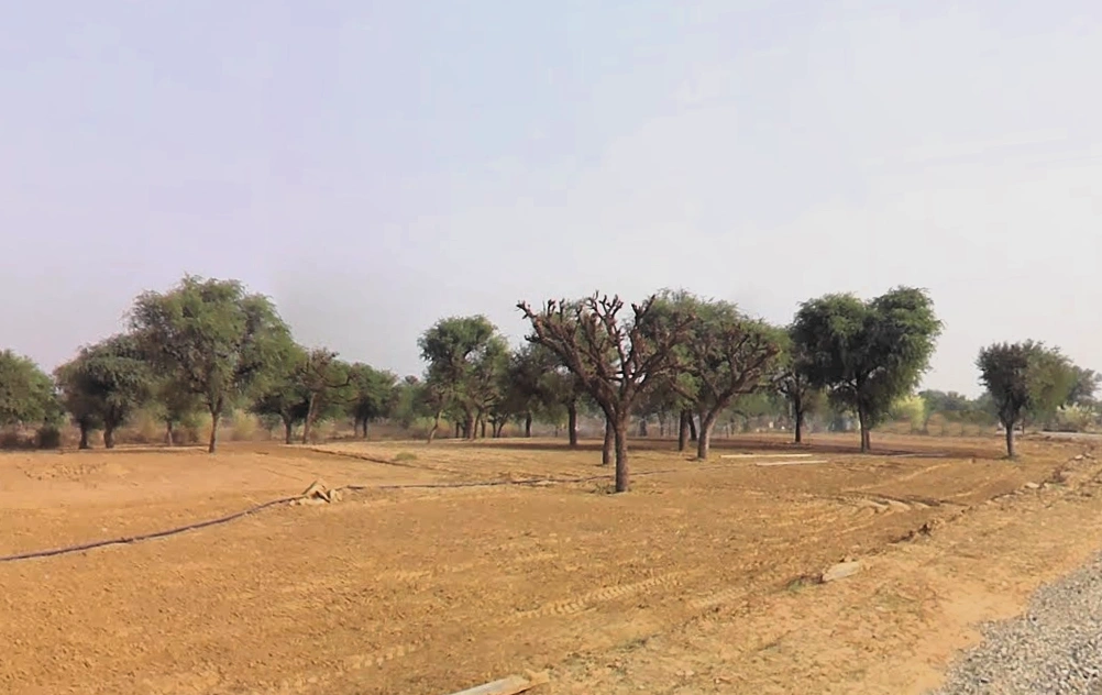 Rata Kalan, Haryana 123021, India