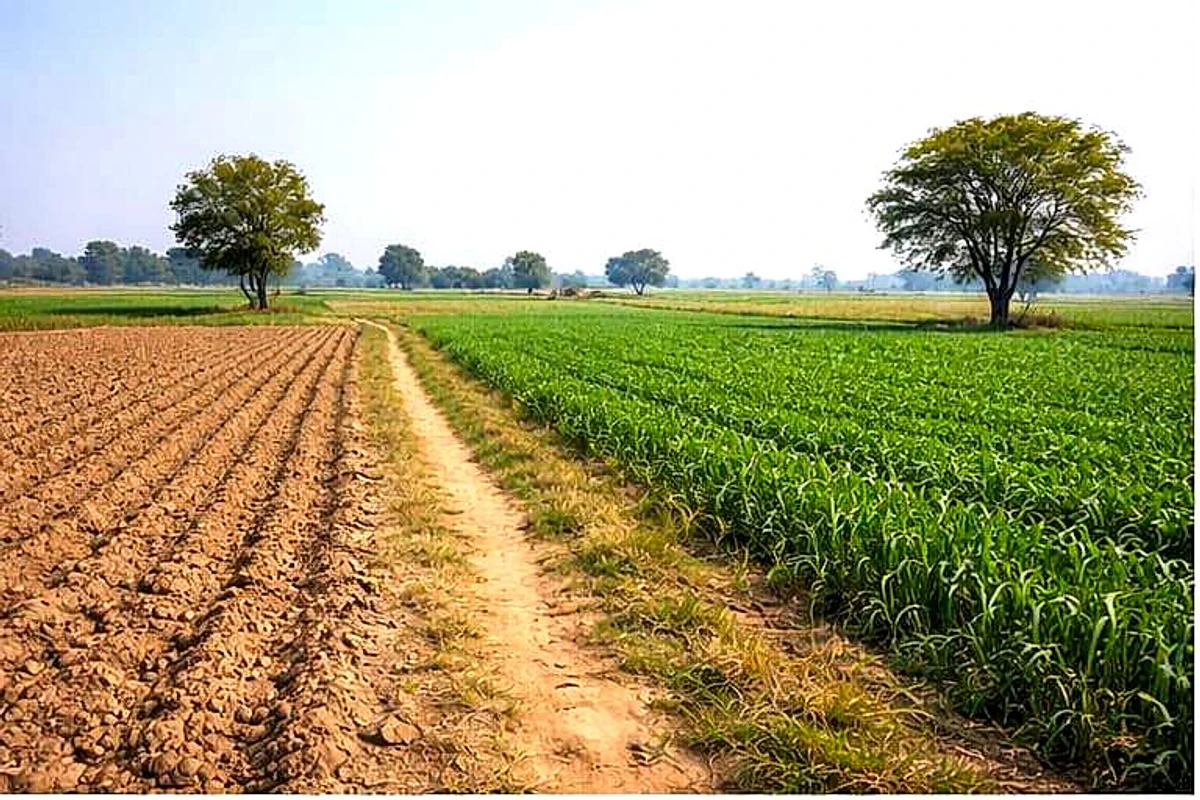 Darbarpur, Uttar Pradesh 246733, India