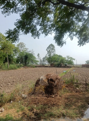 Ladhowal, Punjab 141008, India
