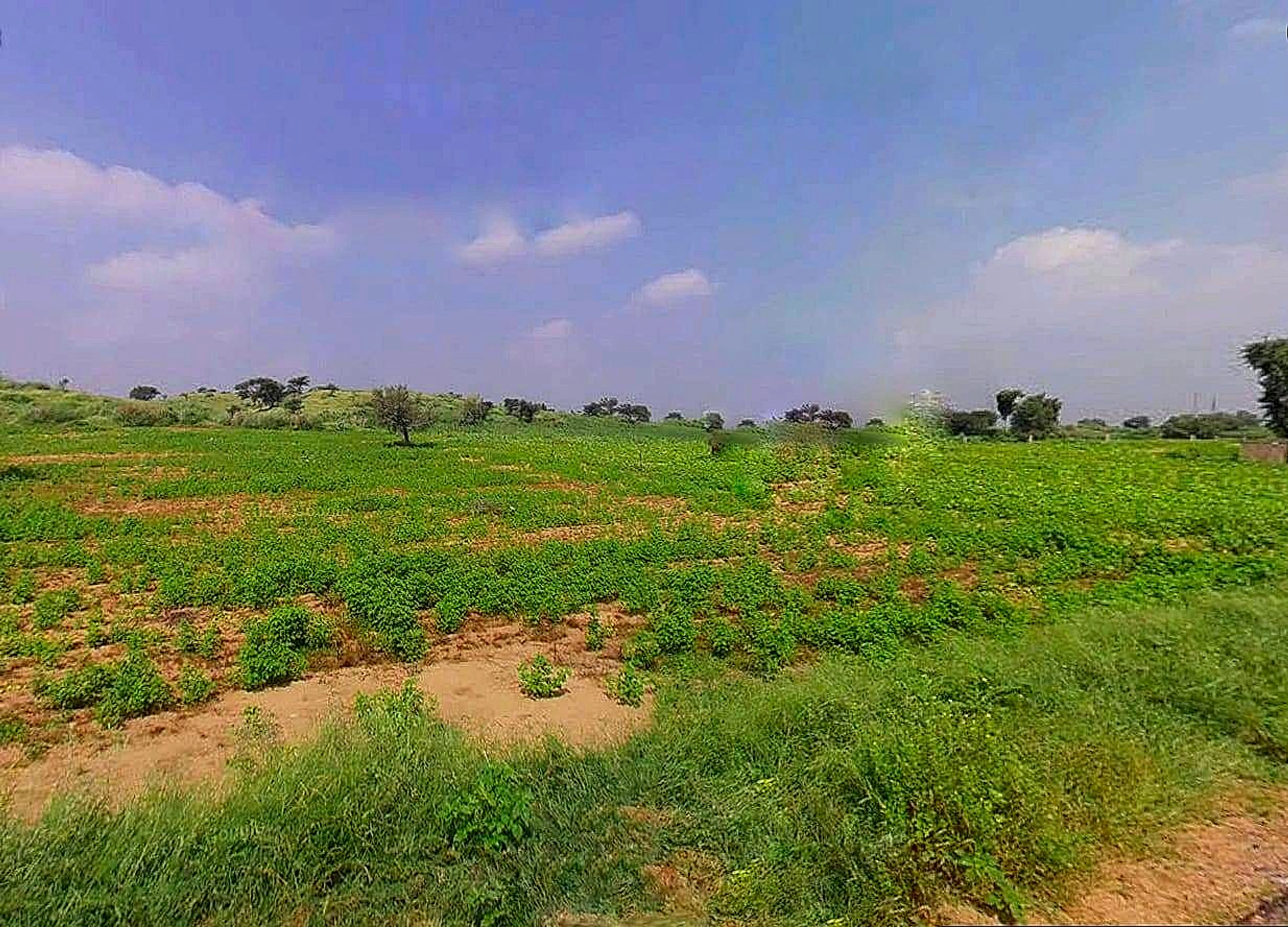 Daspalla, Odisha, India