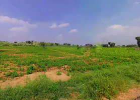 Daspalla, Odisha, India preview 2