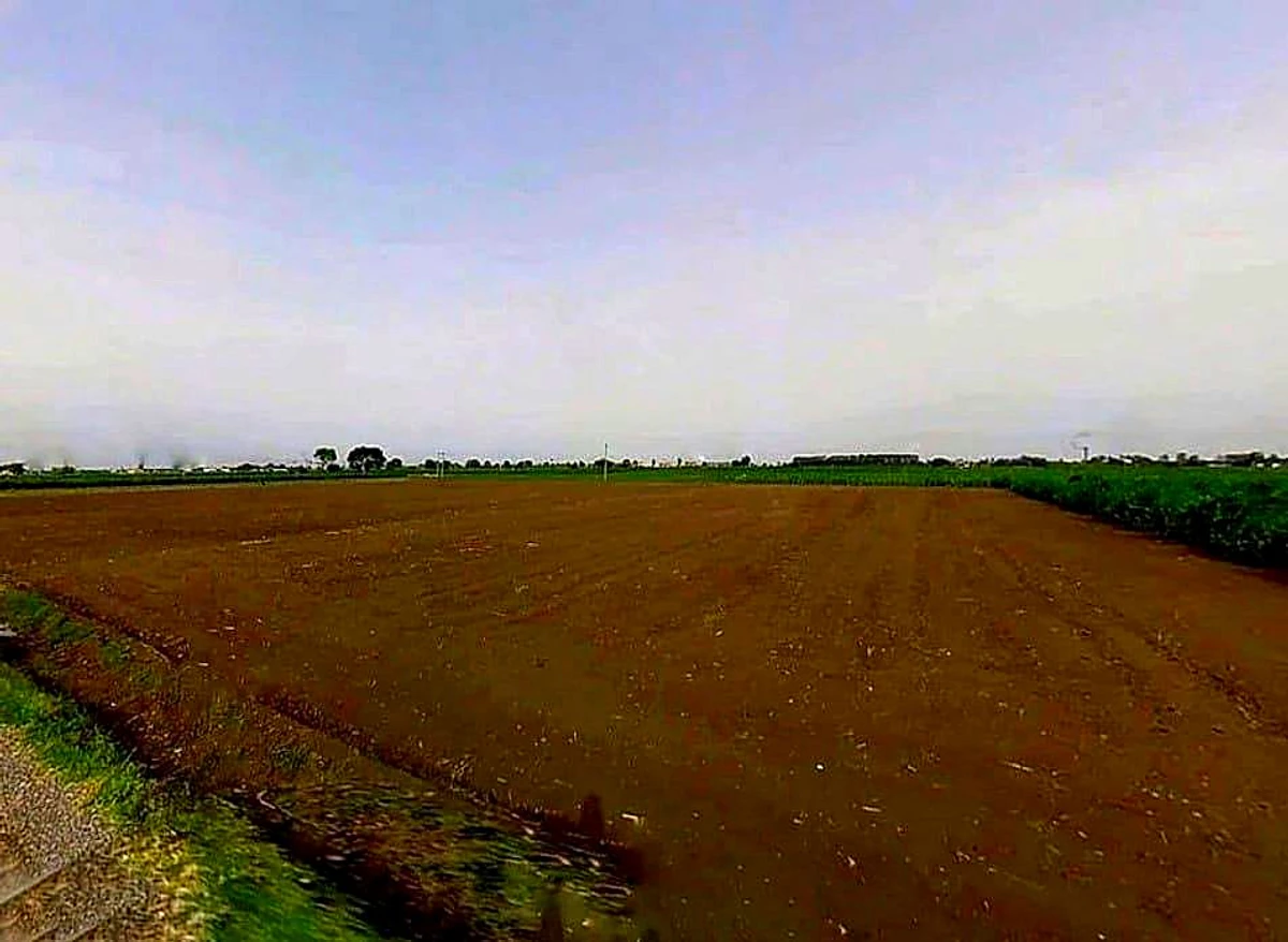 Dastoi, Uttar Pradesh, India