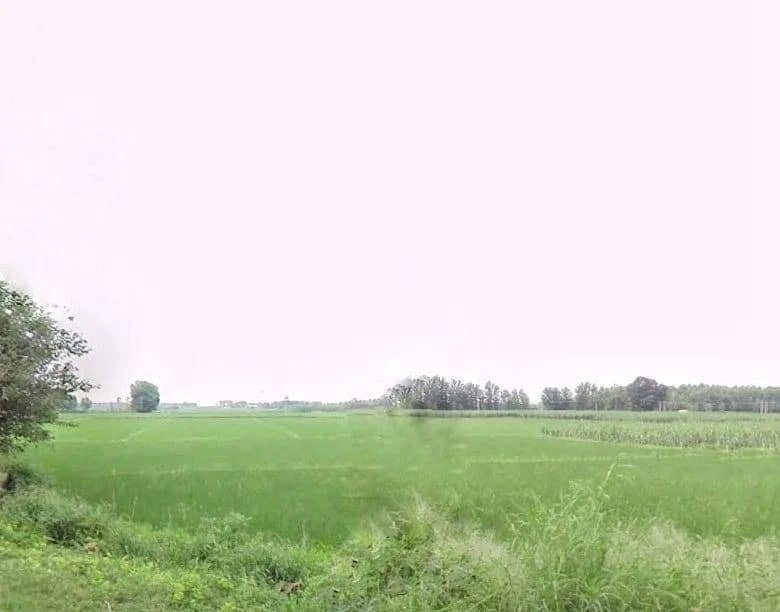 467W+Q79, Garhshankar - Balachaur Rd, Punjab 144526, India