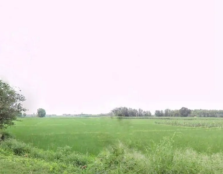 467W+Q79, Garhshankar - Balachaur Rd, Punjab 144526, India preview 2