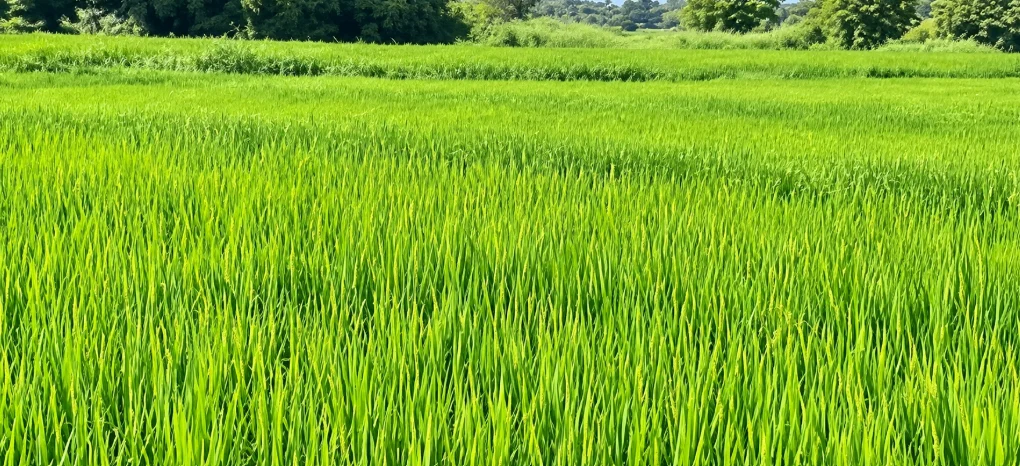 F8J8+CH3, Naganool Rd, Nagarkurnool, Telangana 509209, India preview 3