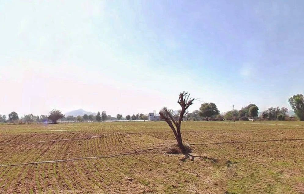 Med, Rajasthan 303003, India