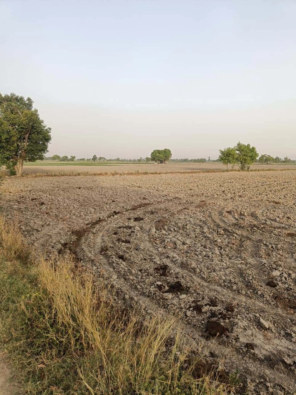 Ranjeetpura, Bikaner, Rajasthan 334305, India preview 3