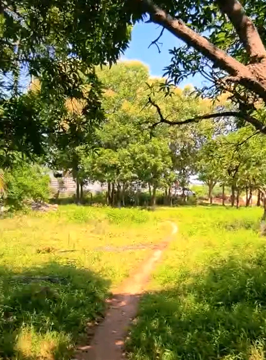 Akkaram Rd, Siddipet, Teegul, Telangana 502311, India