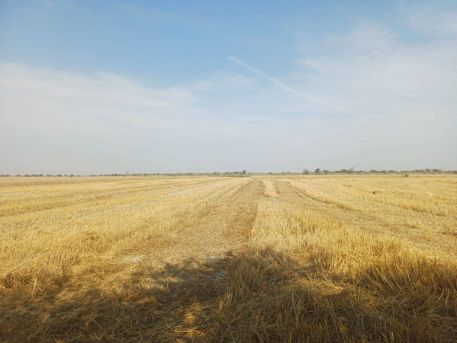 Kaisarganj, Uttar Pradesh 271903, India