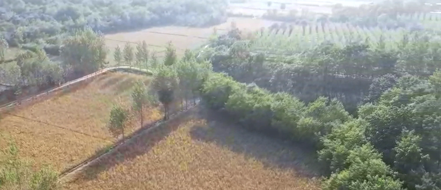 Nurpur Bedi, Punjab 140117, India