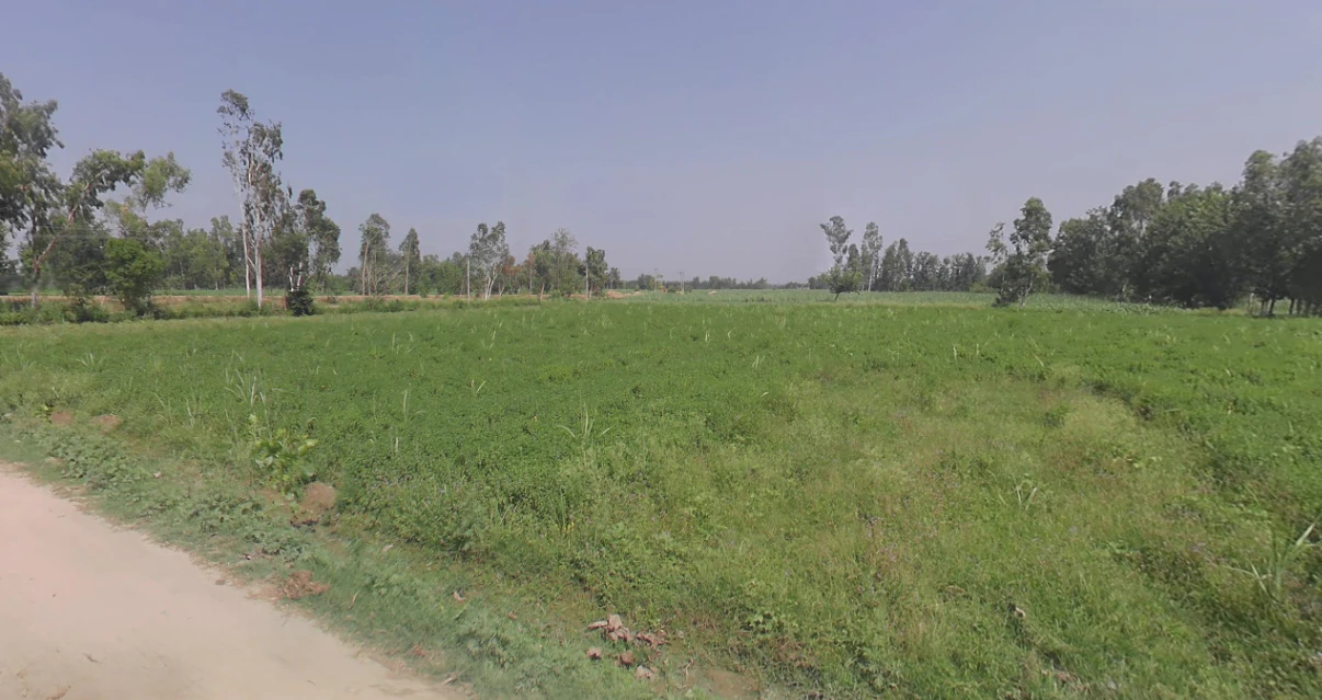Dhanaura, Uttar Pradesh 244231, India