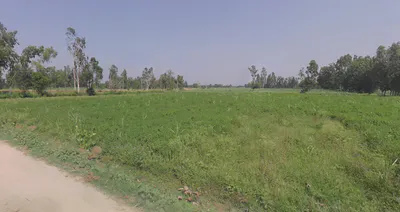 Dhanaura, Uttar Pradesh 244231, India preview 2