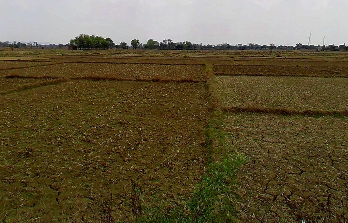 Khandsara, Chhattisgarh, India