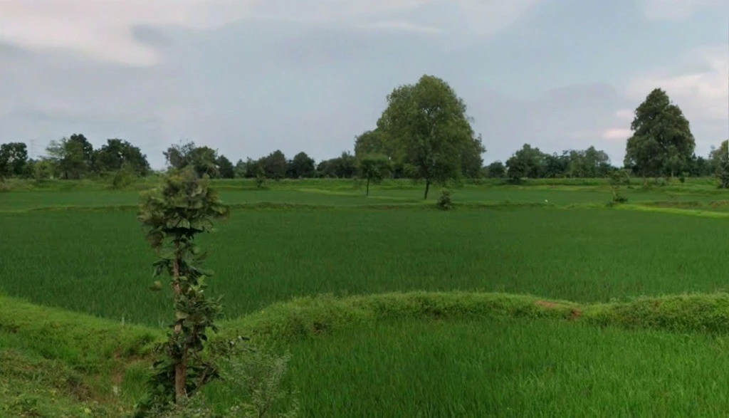 Kheer Sagar Nagar, Saraipali, Chhattisgarh 493558, India