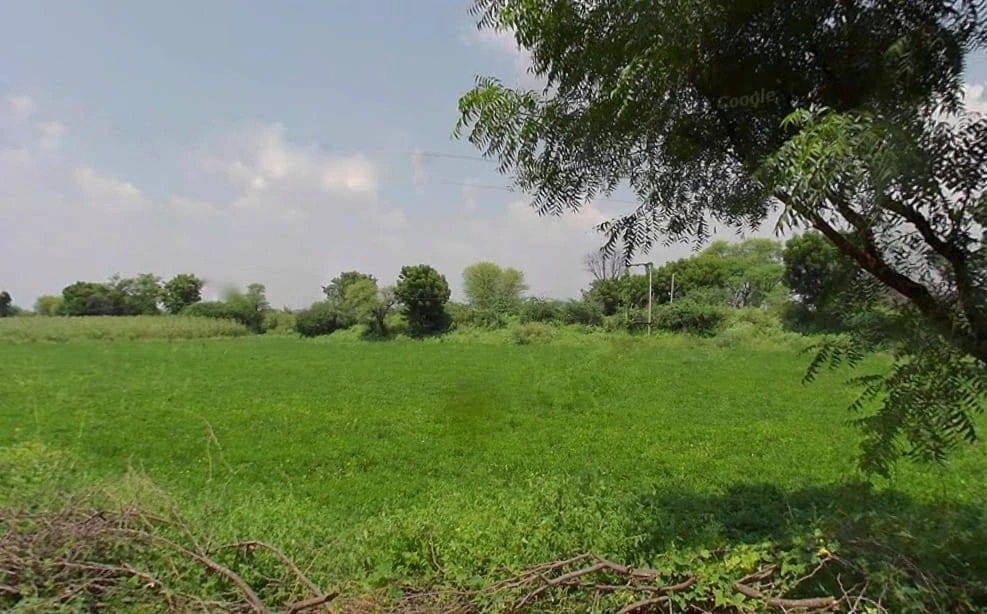 Palu Kalan, Rajasthan 303348, India