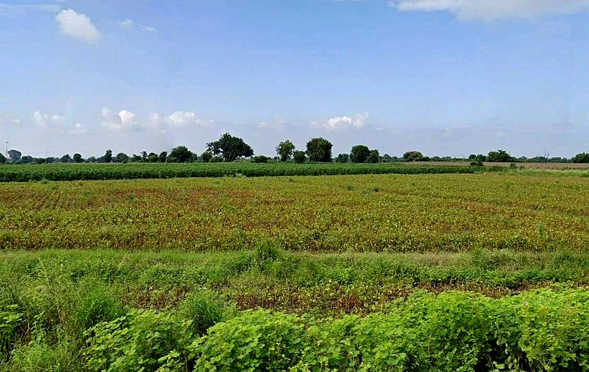 Rajapur, Madhya Pradesh 475661, India